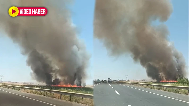 Şanlıurfa’da anız yangını trafiği tehlikeye attı