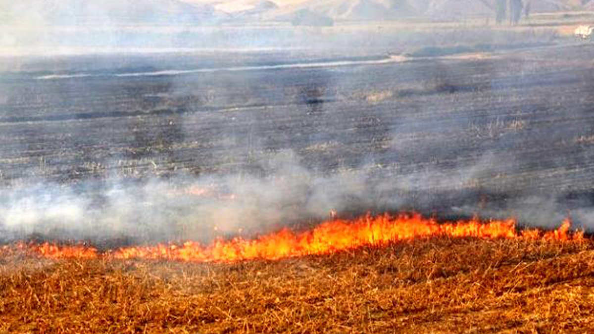 Şanlıurfa'ya müdürlükten uyarı! Saatte 40 kilometre….