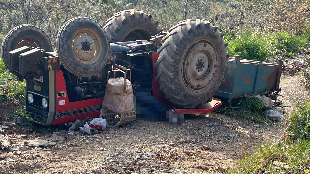 Yürek yakan kaza: Anne, baba ve oğul aynı kazada can verdi