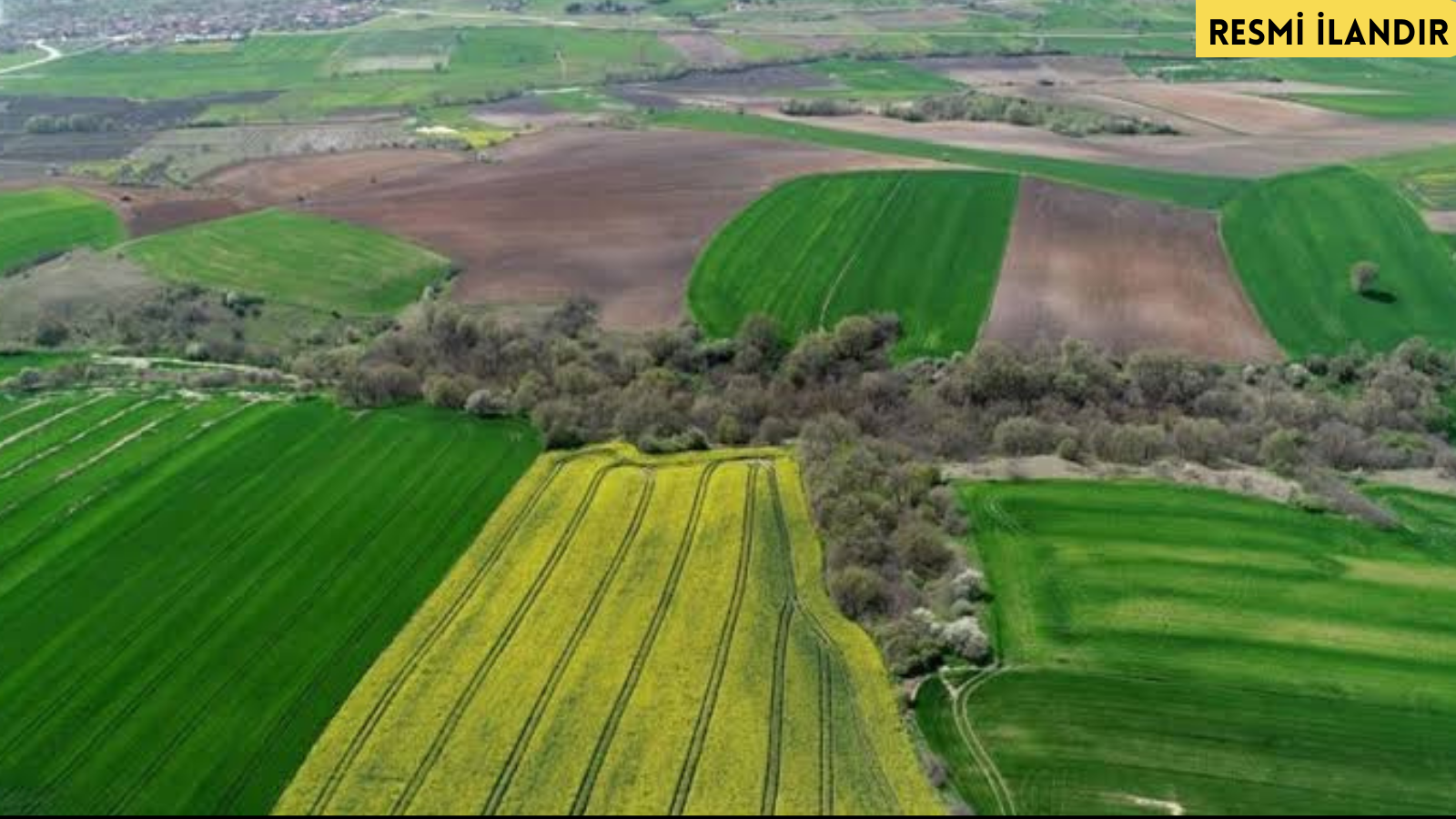 SURUÇ MİLLİ EMLAK ŞEFLİĞİNCE TARIMSAL AMAÇLI KİRALAMASI TAŞINMAZLAR