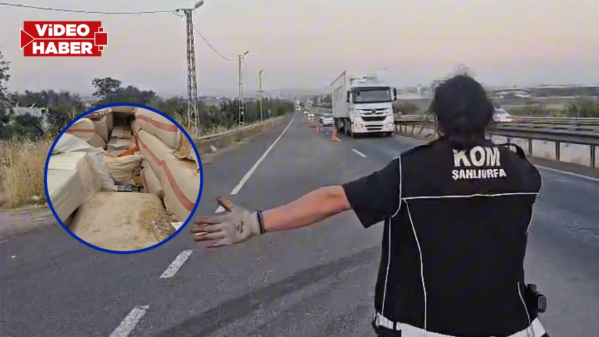 Şanlıurfa'da tırda saman çuvallarının altından milyonluk kaçakçılık