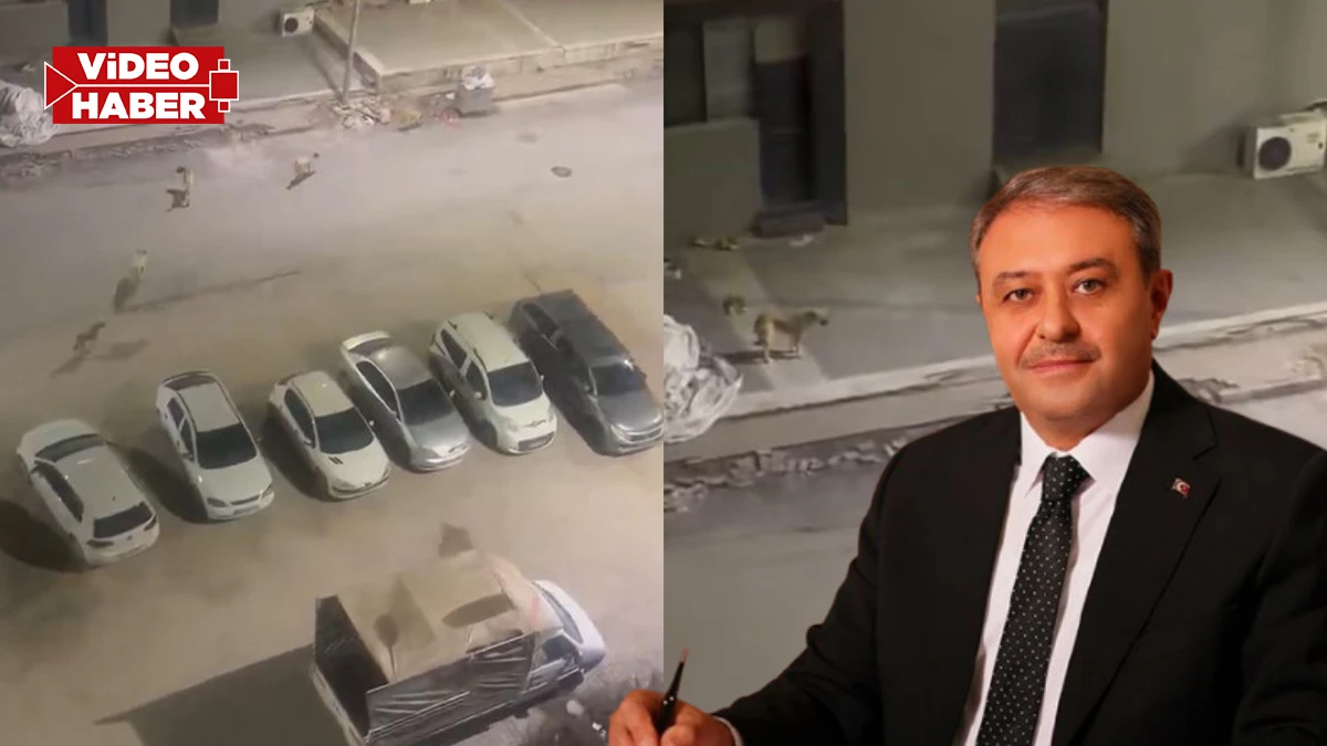 Vatandaşın çağrısına Vali Şıldak’tan anında yanıt! "Hemen ilgileniyorum"