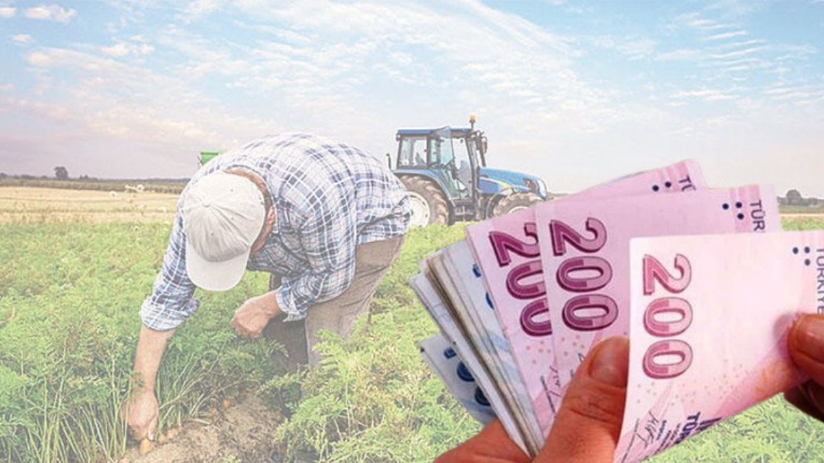 Şanlıurfalı çiftçileri sevindirecek haber! Hesaplara yattı