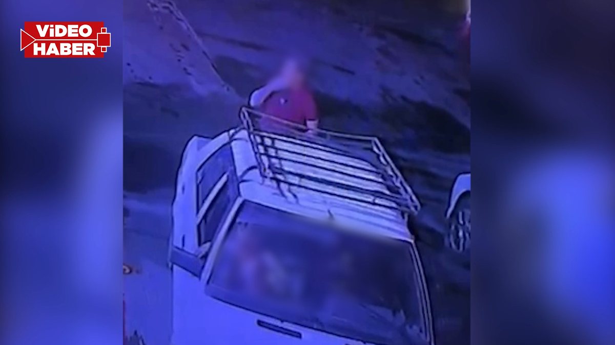 Şanlıurfa’da bağ evini soydular! Ne varsa alıp götürdüler