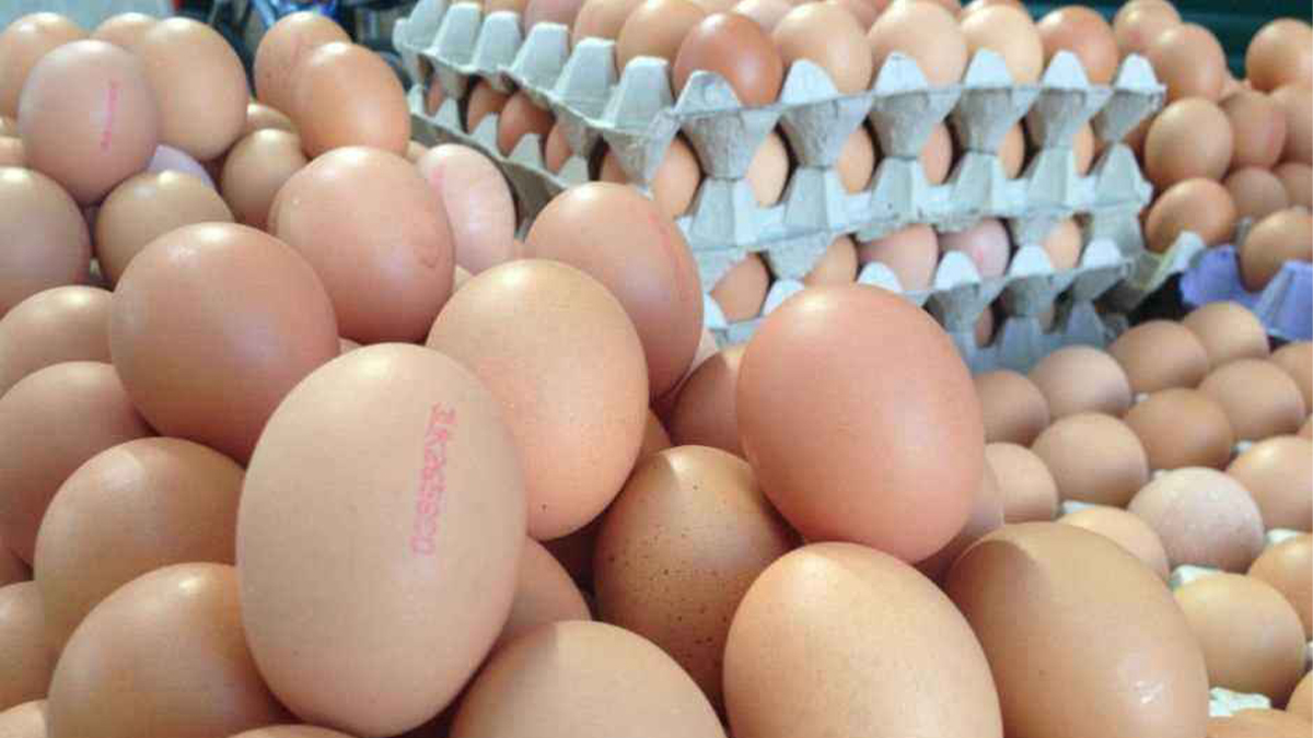 Yumurta fiyatlarına yeni zam
