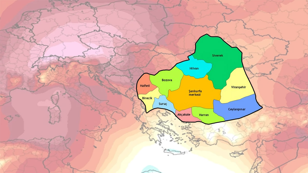 Asıl şimdi yandık! Şanlıurfa’ya Afrika'dan giriş yaptı