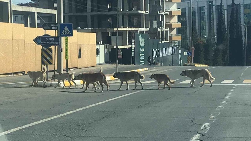 Bakanlık uyardı! Şanlıurfa’da uymayan belediyelere binlerce lira ceza