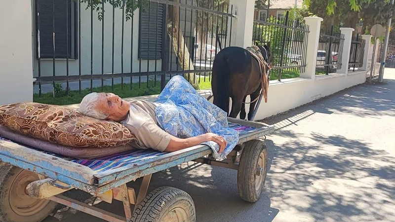 Şanlıurfa’da 56 derece sıcakta at arabasıyla bankaya götürüldü