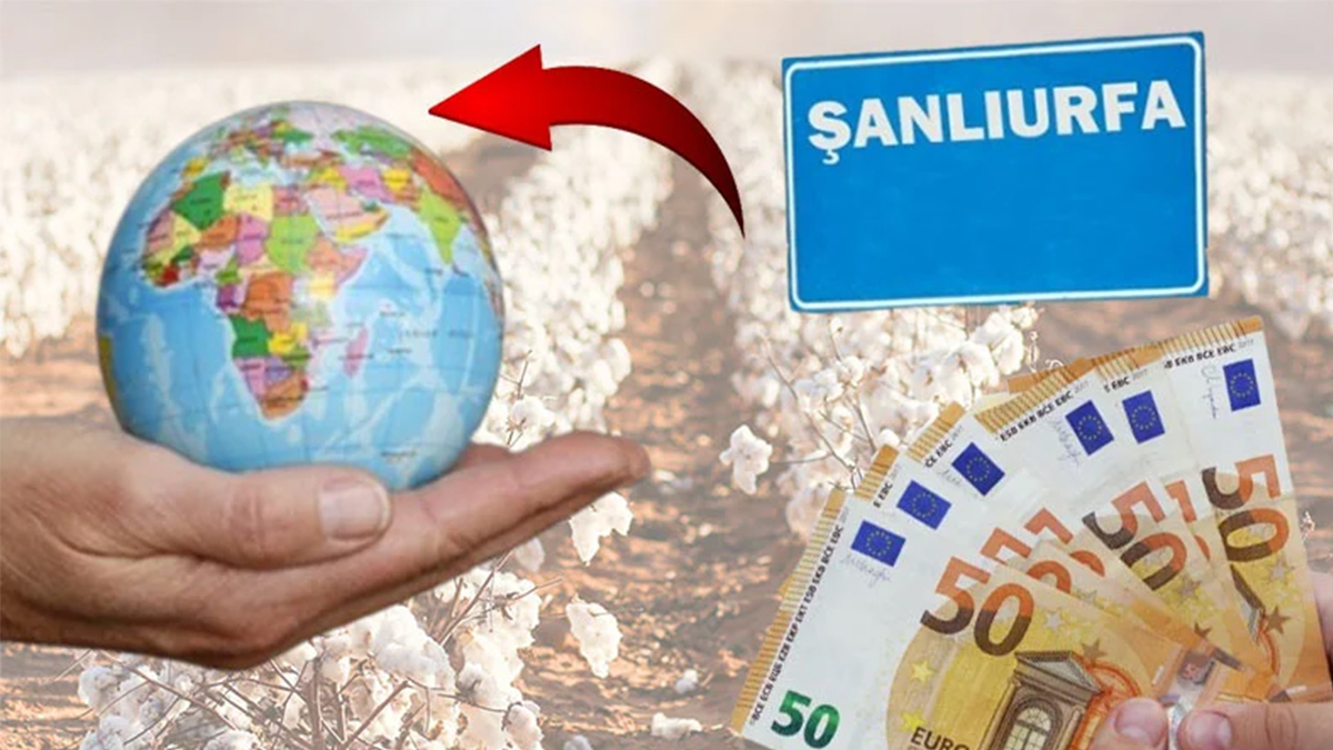 Avrupa'nın hem kumaşı hem parası Şanlıurfa'dan! İşte 'beyaz altın'ın bilinmeyen hikayesi...