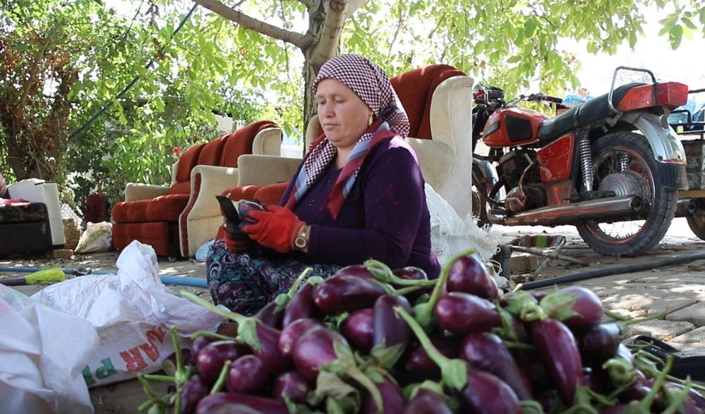 Kurutmalık sezonunda artık son günler