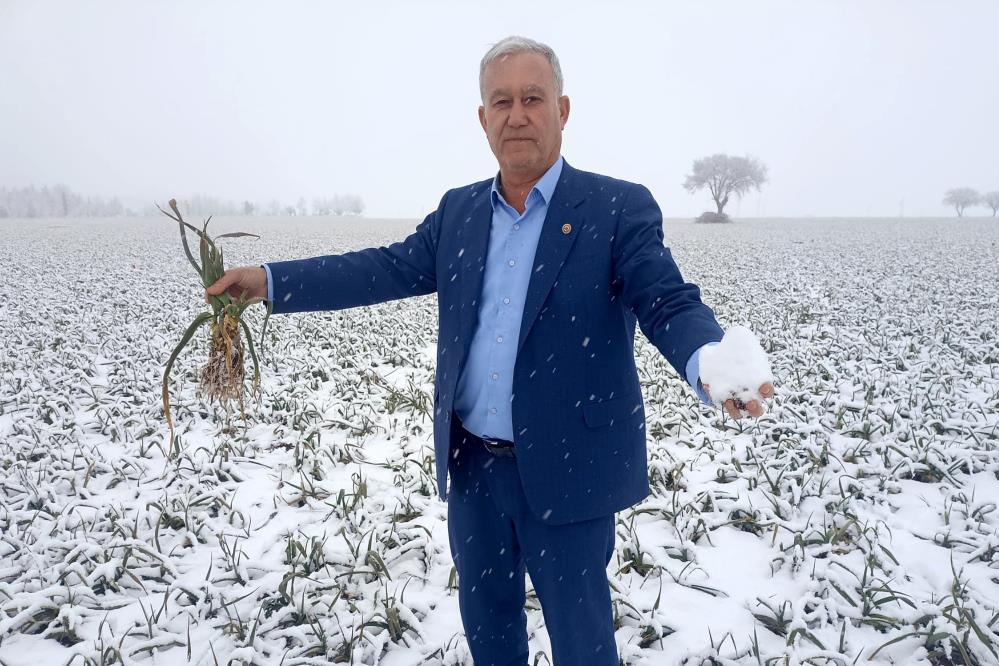 Kar komşuda da yüzleri güldürdü... 35 bin dönüm ekilmişti!
