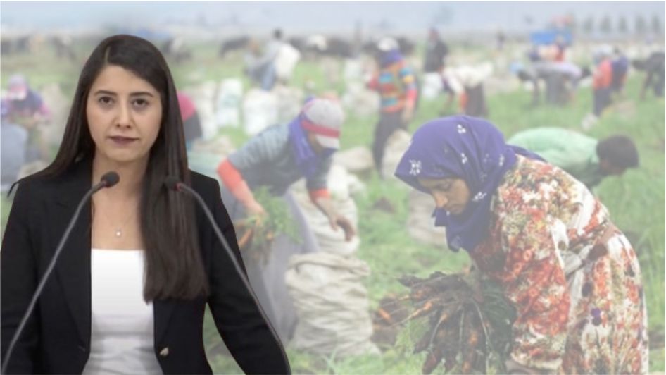 Bakan'a soruldu: Şanlıurfalı yoksul kadınlarla ilgili çalışmanız var mı?