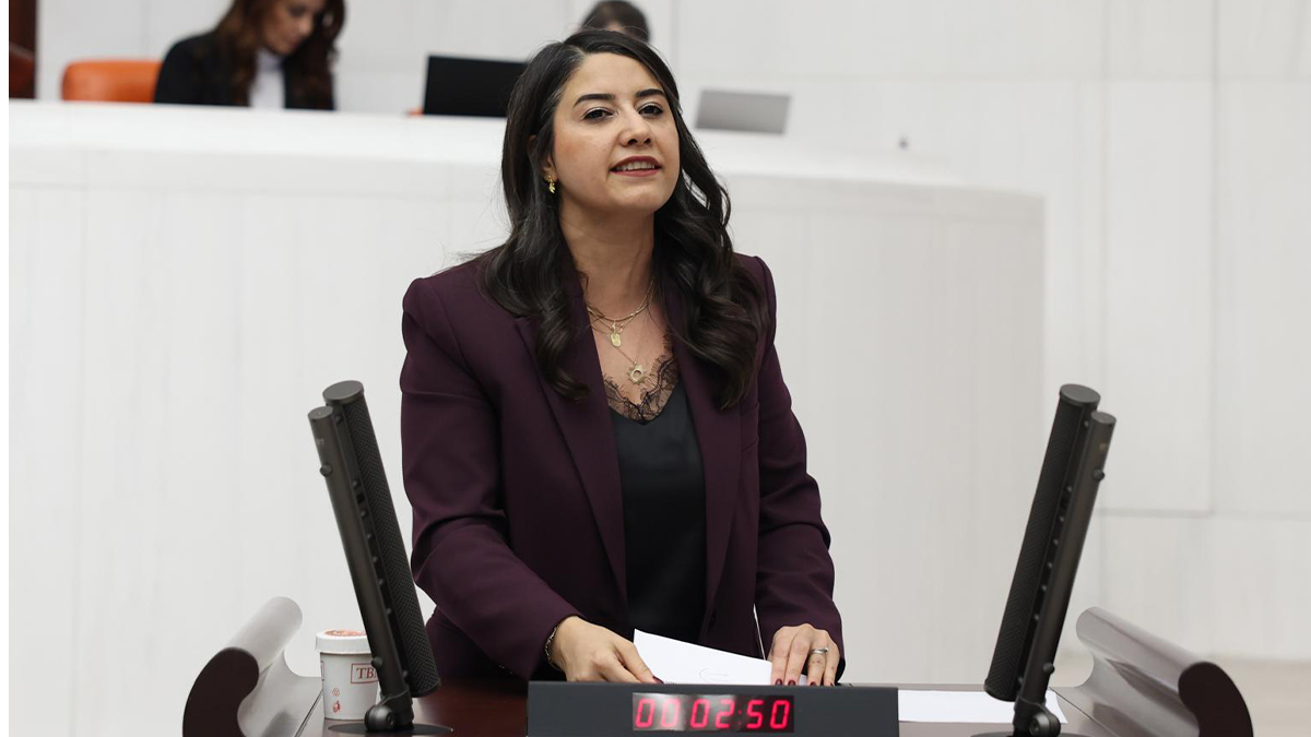 Şanlıurfa'nın sağlık sorunları Meclis gündemine taşındı! Tek tek sıralandı