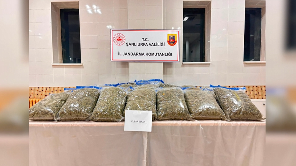Listede Şanlıurfa'da var! 6 bin jandarma ile dev operasyon: 138 gözaltı