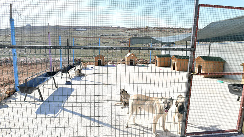 Şanlıurfa'da bir belediye daha bakımevi kurdu!
