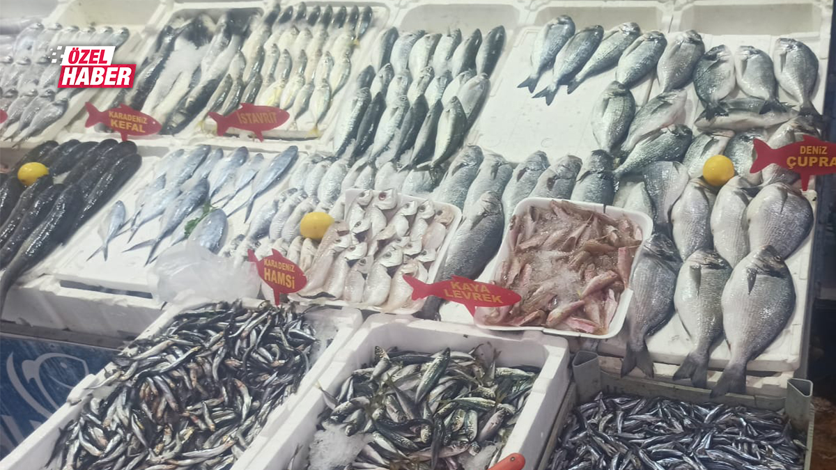 Şanlıurfa balık sezonuna hızlı girdi: Vatandaşlar tezgahlara akın etti