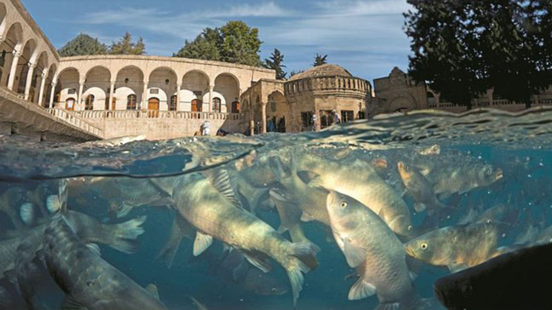 Şanlıurfa’da bayramda hava nasıl olacak? Meteoroloji gün gün paylaştı!