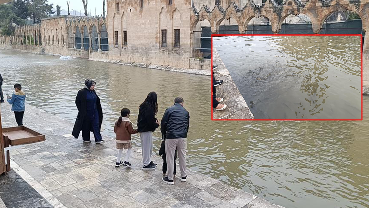 Şanlıurfa'da büyük felaketin ardından Balıklıgöl normale döndü!