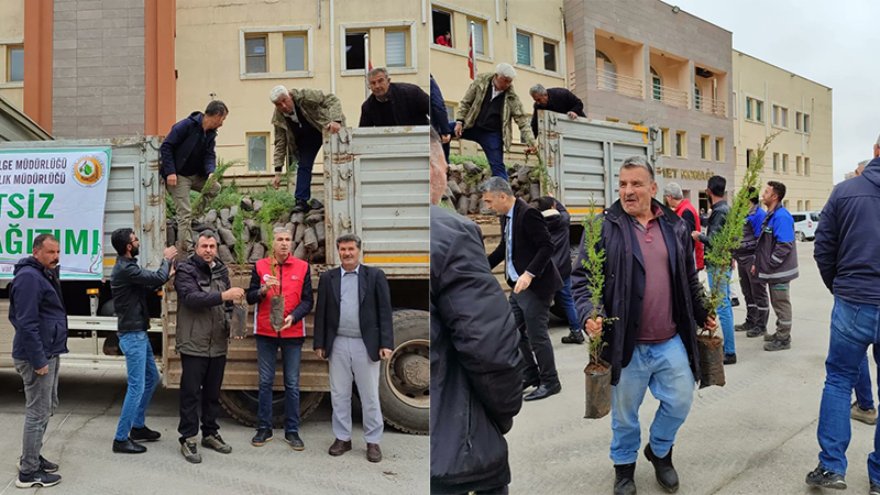 Orman Bölge Müdürlüğü açıkladı! Her eve bir fidan…