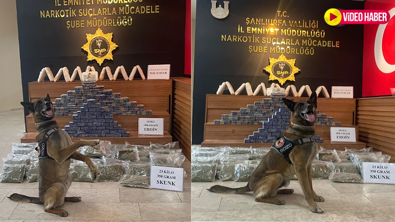 Bakan Yerlikaya açıklamıştı: Şanlıurfa’daki dev operasyonun detayları belli oldu