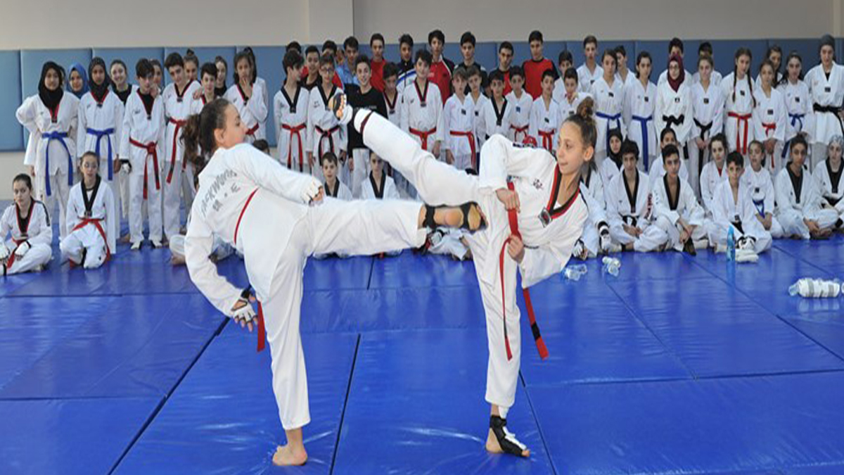 Şanlıurfa’da ücretsiz kurslar başlıyor: Taekwondo’dan kodlamaya