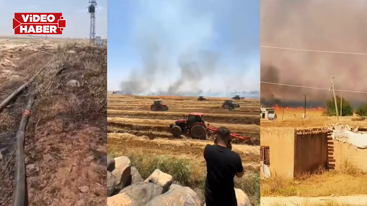 Yine aynı kabus: Şanlıurfa alev alev yanıyor