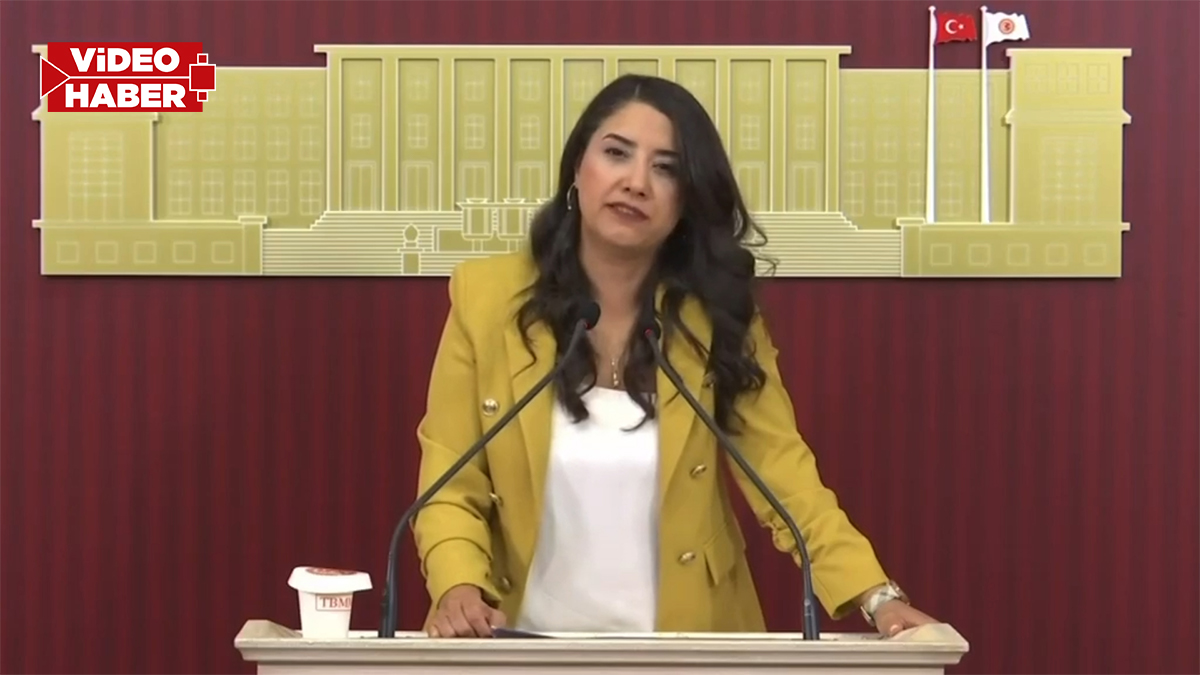 Şanlıurfa vekilinden 'Ölüm yolu' tepkisi! "Urfalılar artık vaat değil, güvenli yol istiyor"