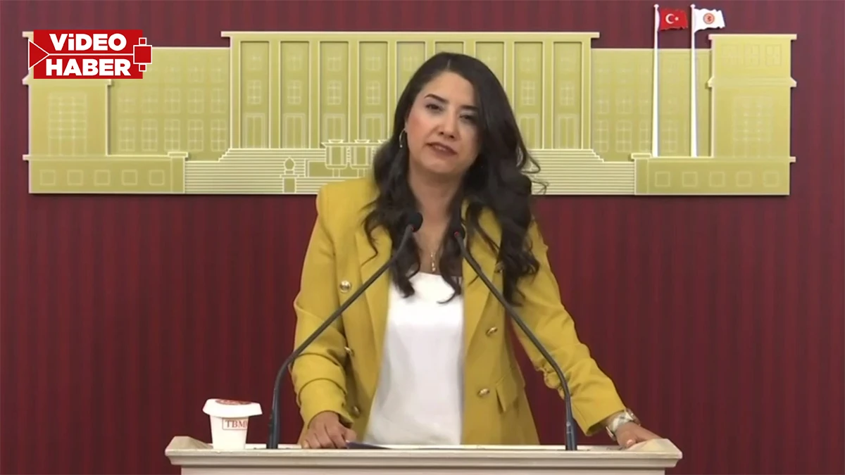 Şanlıurfa vekilinden 'Ölüm yolu' tepkisi! "Urfalılar artık vaat değil, güvenli yol istiyor"