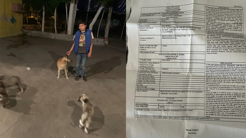 Şanlıurfa’da köpek dostu çocuğa para cezası iddiası!