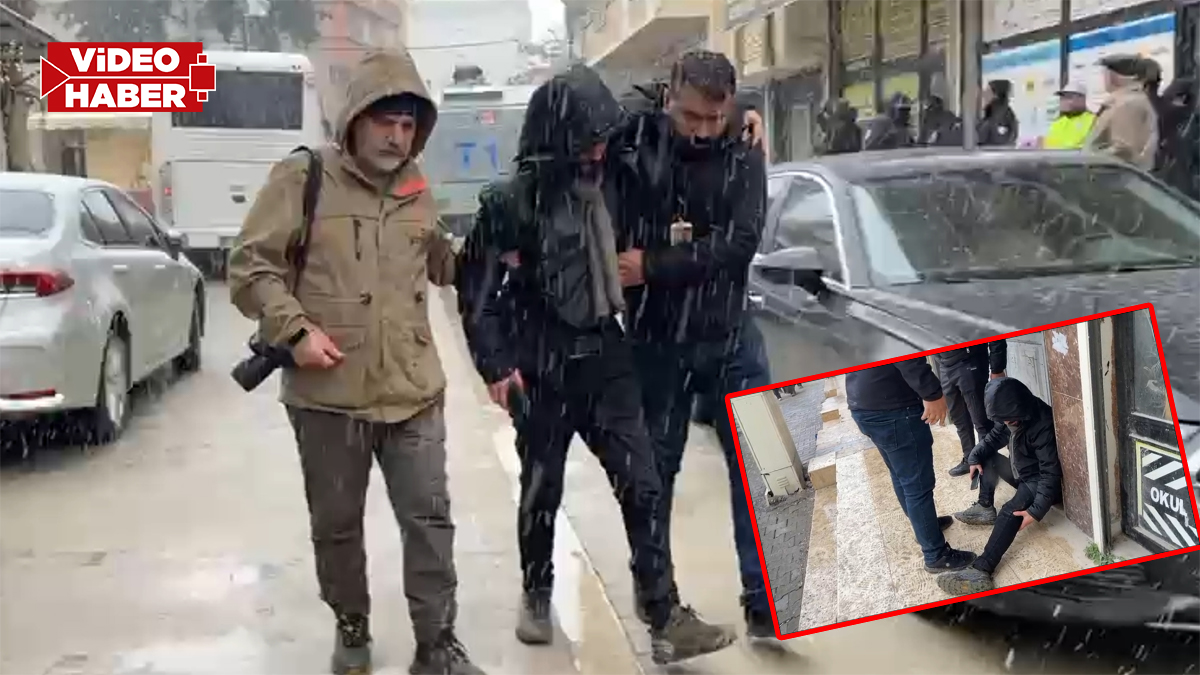 Şanlıurfalı gazeteciye akrep çarptı: Ayağından yaralı...