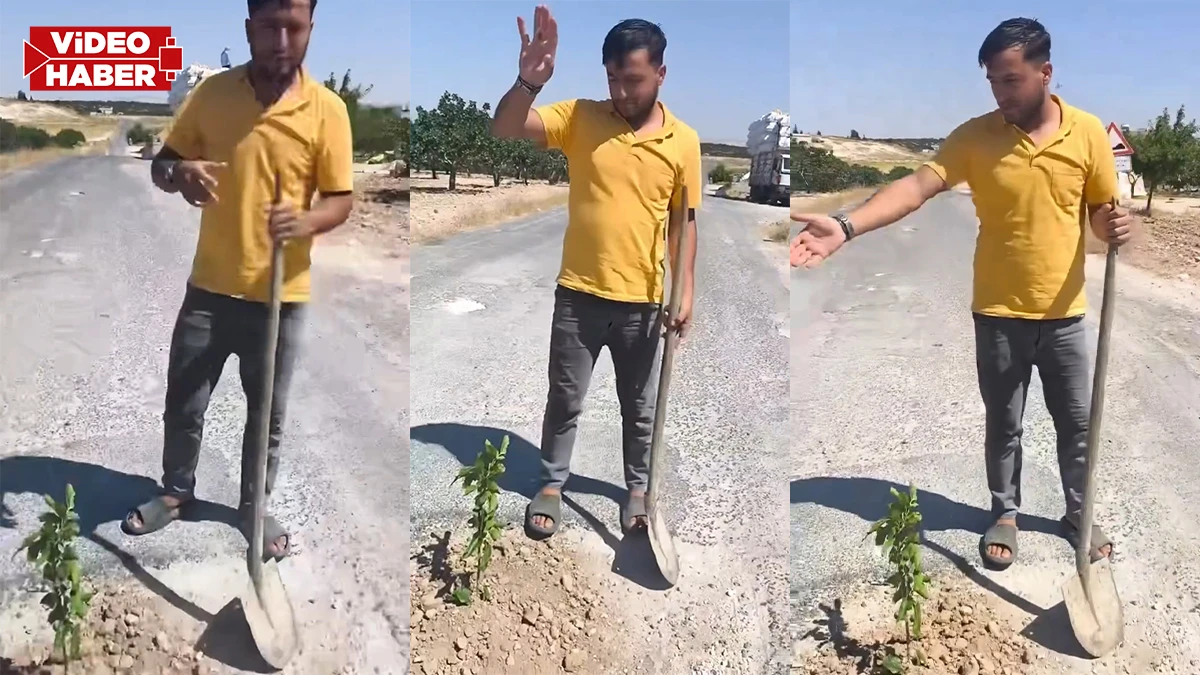 Şanlıurfa’da çukurlar vatandaşı canından bezdirdi! Yol ortasına ağaç diktiler