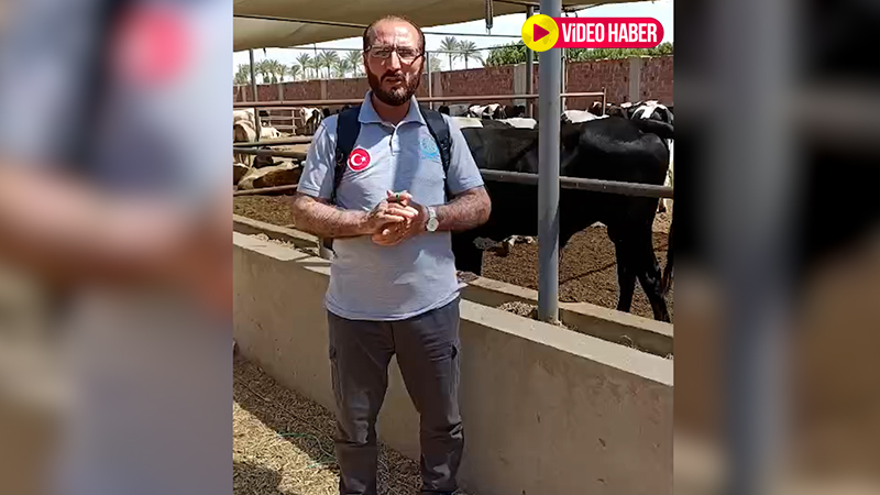 Bir Yol-Der’den Kurban Bayramı öncesi yardım seferberliği