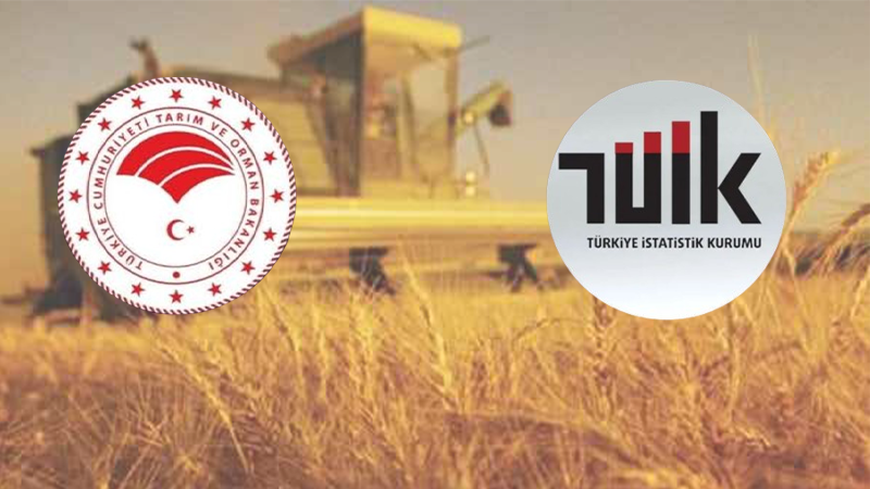 Şanlıurfa'da tarım sayımı başladı