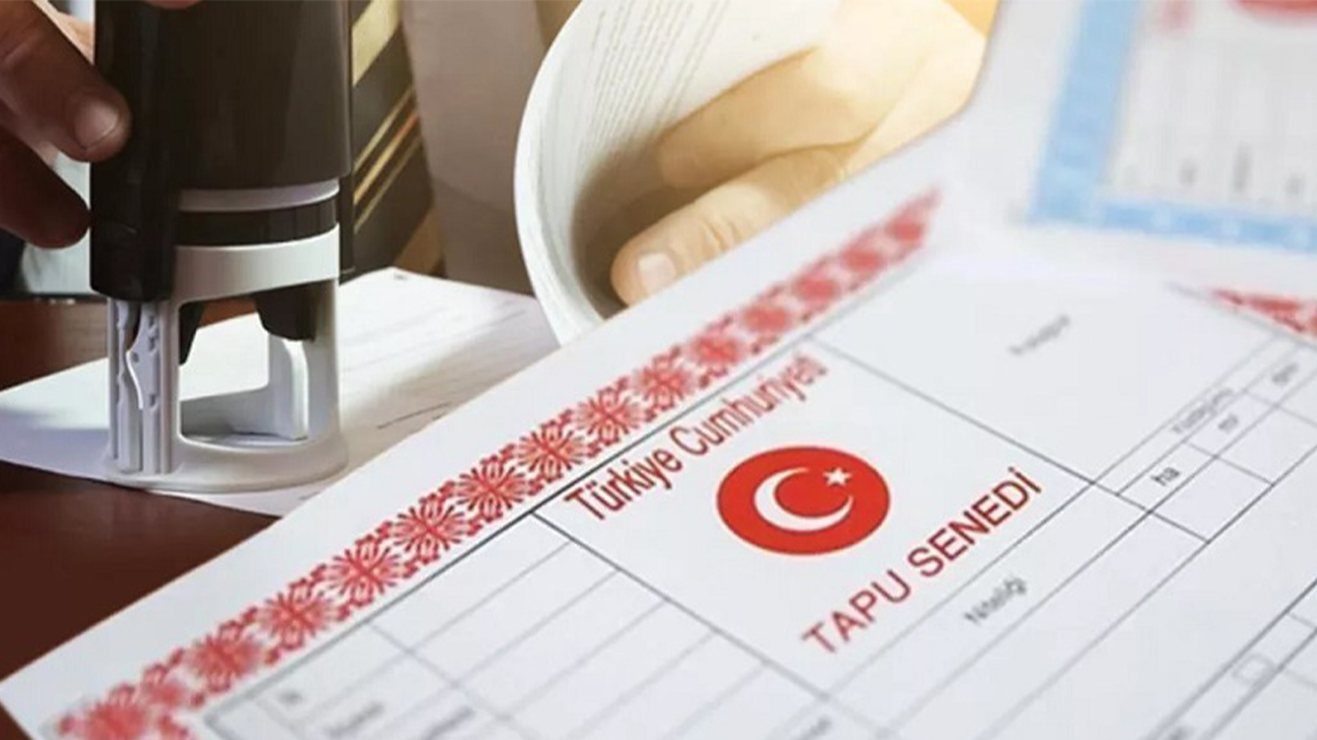 Tapuda 65 yaş için rapor zorunluluğu var mı?  Açıklama yapıldı