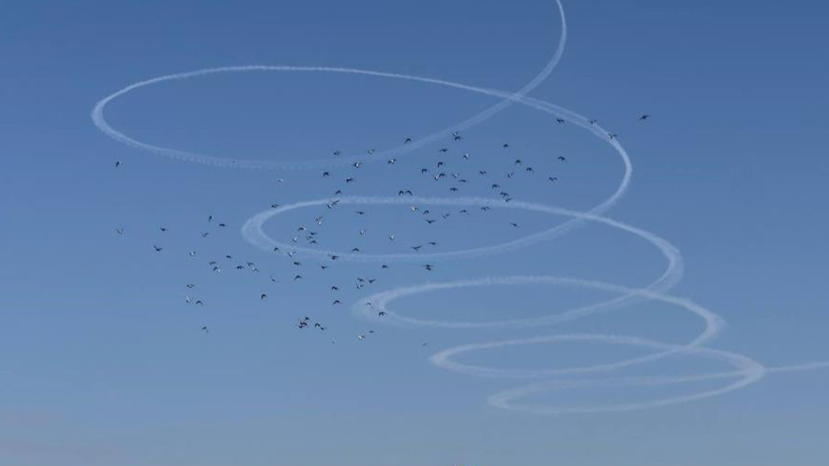 Şanlıurfa'da gökyüzüne bakan bir daha baktı!