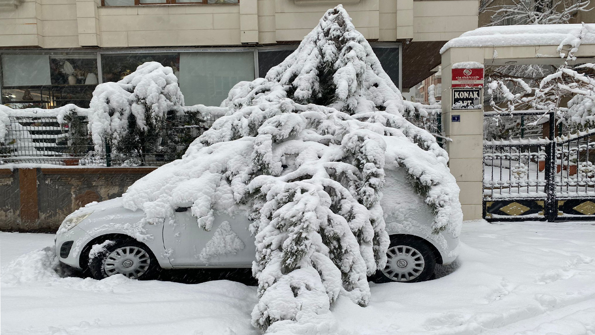 Şanlıurfa'da kar birikintisine dayanamayan ağaçlar araçların üzerine devrildi