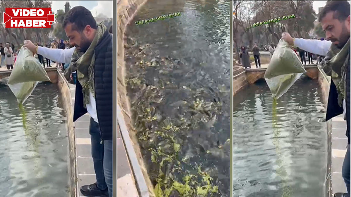 Görenler gözlerine inanamadı: Balıklıgöl’e bir çuval yem boşalttı!