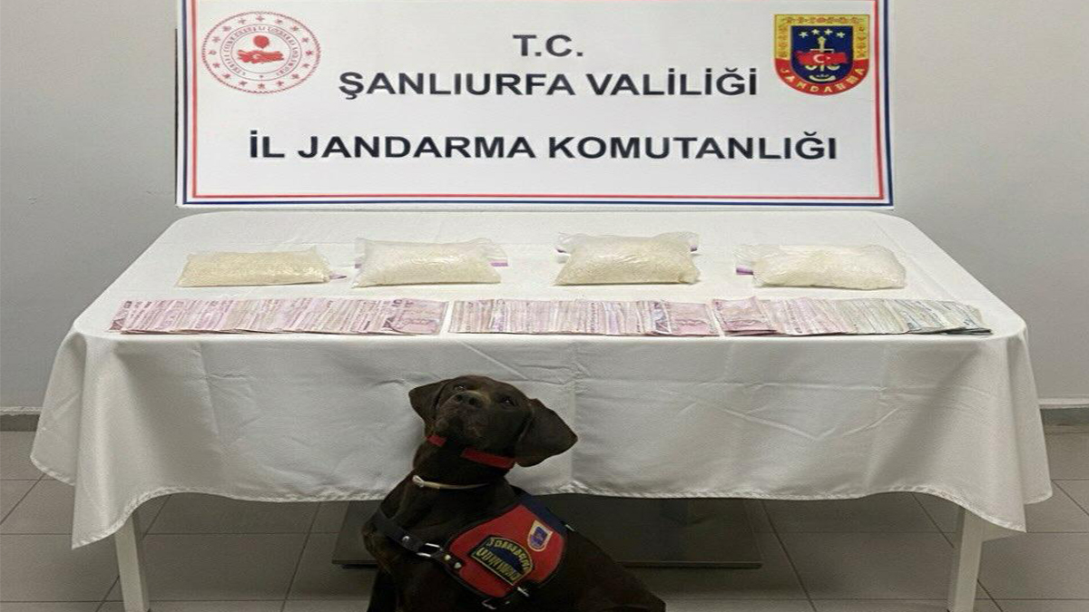 Şanlıurfa’da narkotik köpekler kokusunu aldı! Tam 4 kilo ele geçirildi