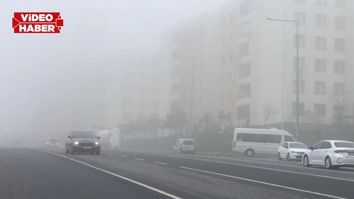 Şanlıurfa'da sis etkili oldu: Birçok ilçede görüş mesafesi düştü