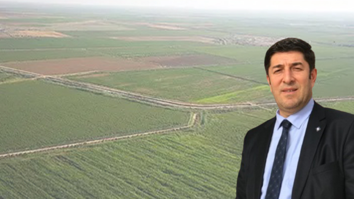 Şanlıurfa'nın tarım hazinesi tehdit altında! Geleceğimizi kaybediyoruz...