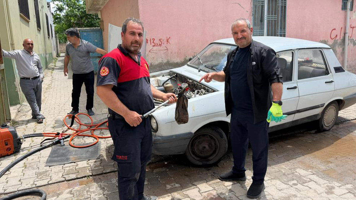 Şanlıurfa'da otomobilin motoruna yılan girdi: Gören hem şaşırdı hem korktu
