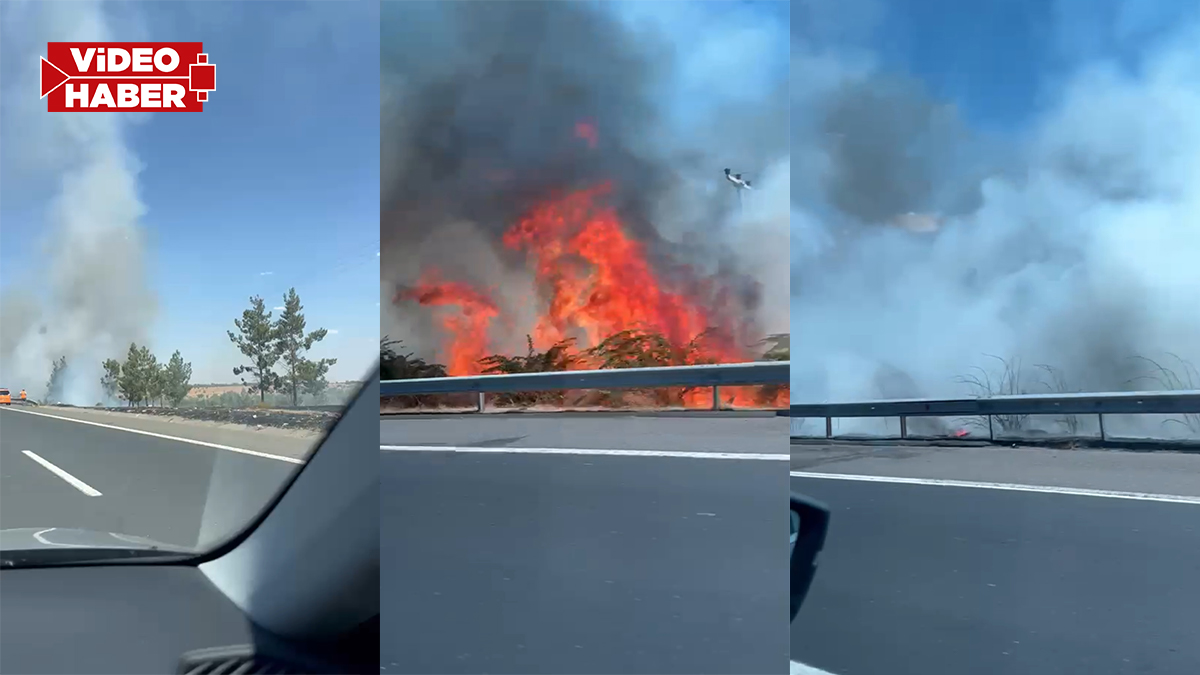 Şanlıurfa'da yol kenarında çıkan yangın ağaçlık alana sıçradı