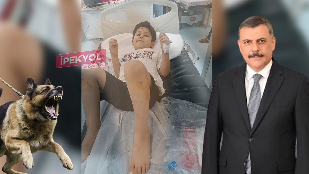 Şanlıurfa'da 8 yaşındaki çocuk dehşeti yaşamıştı: Bakanlık harekete geçti!