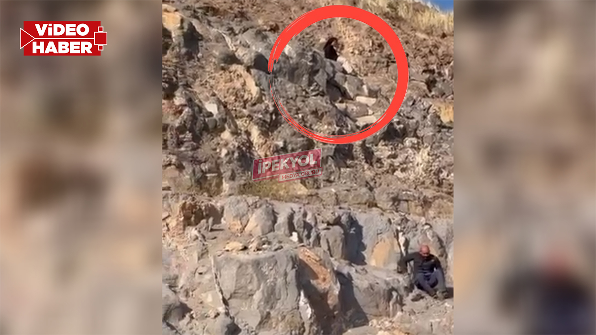 Şanlıurfa'da yürekleri ağza getiren olay: Canına kıymak için kayalıklara çıktı