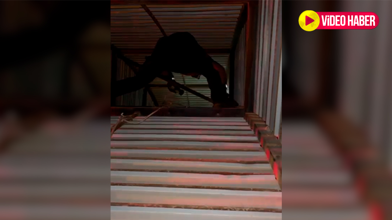 Şanlıurfa'da gece yarısı kedi kurtarma operasyonu