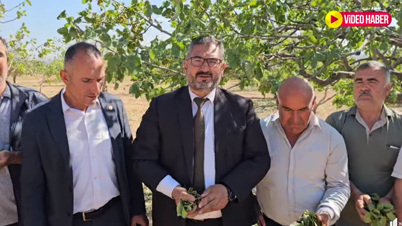 Şanlıurfa’da dolu mağduru çiftçiler dikkat