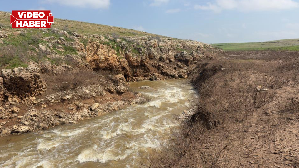 Şanlıurfa’da yıllardır gizemi çözülemedi: Dere suyu kayboluyor...