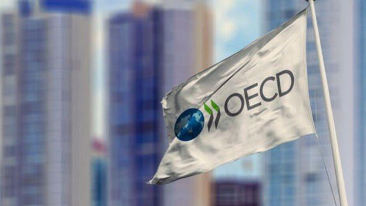 OECD, Türkiye için enflasyon tahminini açıkladı!
