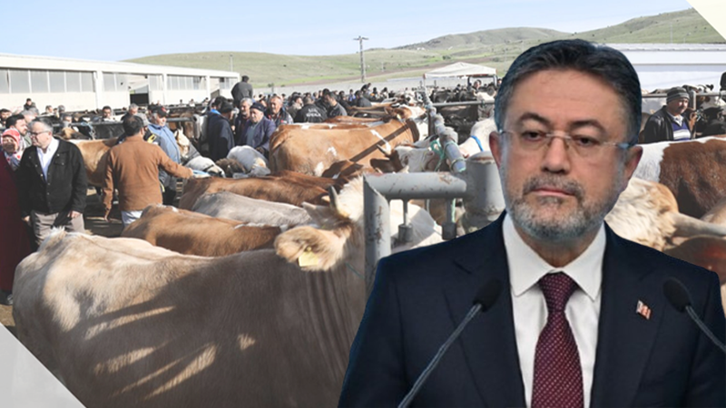 Bakan Yumaklı'dan kurbanlık açıklaması