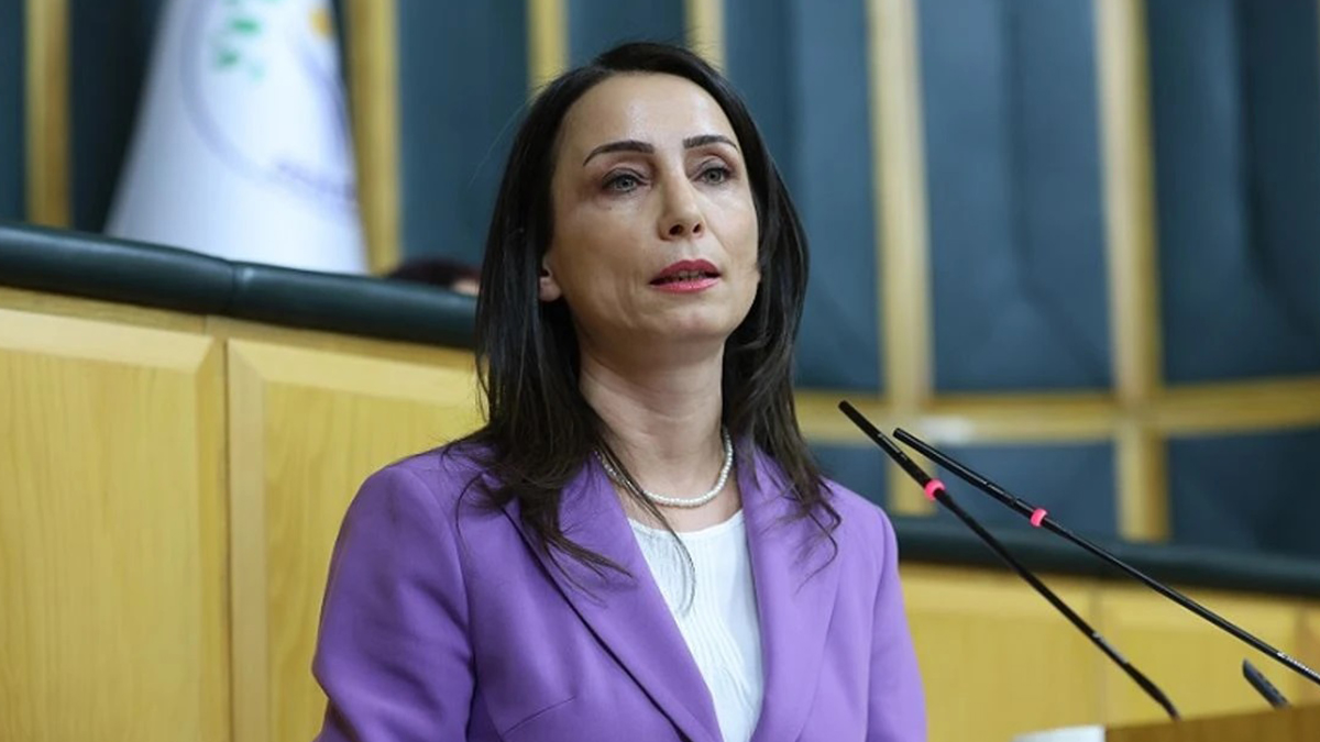 DEM Parti Eş Genel Başkanı Tülay Hatimoğulları Rojava'ya gidiyor